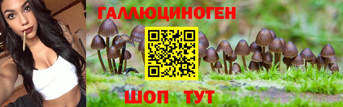 Жигулёвск  Псилоцибиновые грибы Cubensis  Вход с VPN 